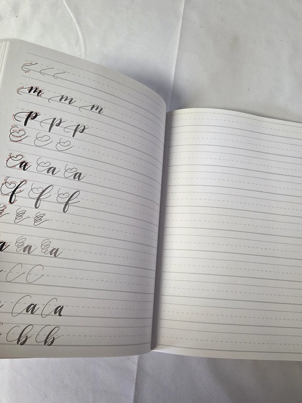 New Piccadilly * Calligraphy Made‎ Easy * Softcover Workbook Ashley Gardner